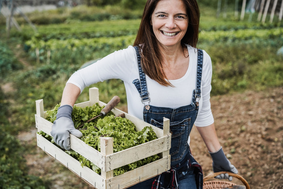 Graines_Voltz_maraichage-02 Graines Voltz : Passion des produits