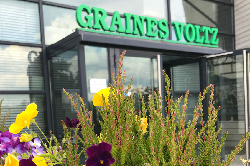 Graines Voltz : Une entreprise d'envergure