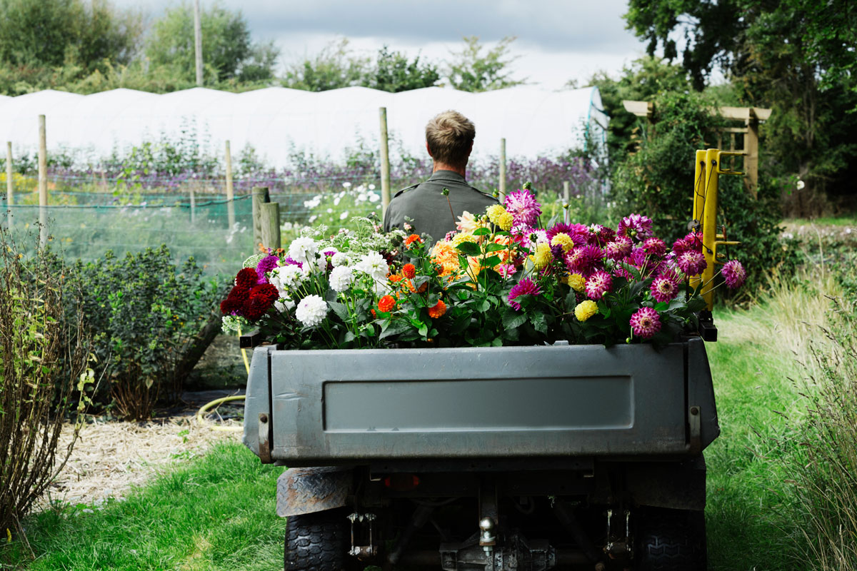 Graines Voltz : Une entreprise en plein essor. GRAINES VOLTZ grossiste auprès des professionnels de l’horticulture, et du maraîchage
