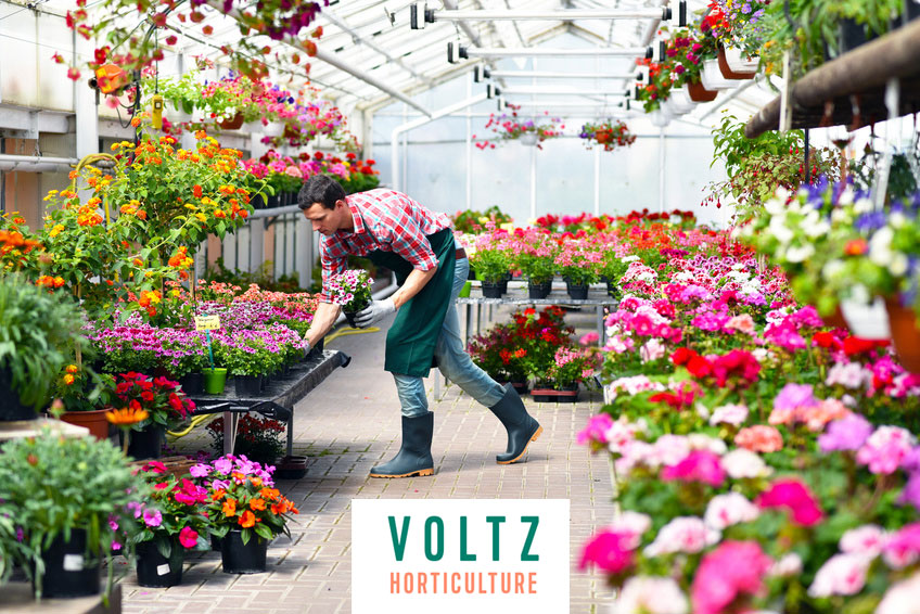voltz_horticulture VOLTZ HORTICULTURE