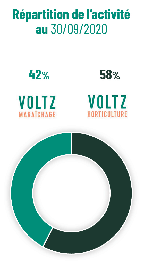 graphe-GV_repartition_activite Graines Voltz_repartition_activité