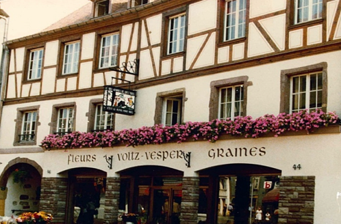 Graines Voltz : NAISSANCE D’UN ACTEUR RÉGIONAL À COLMAR Graines Voltz : NAISSANCE D’UN ACTEUR RÉGIONAL À COLMAR