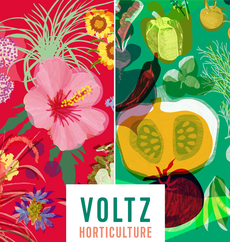 visuel-VH-pour-homepage-OK Voltz Horticulture