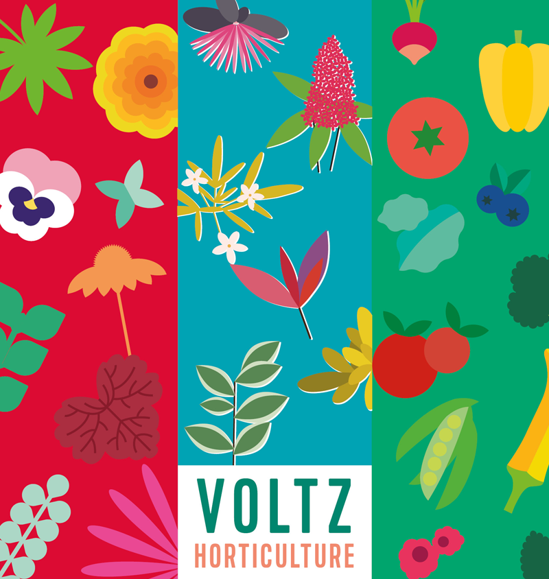 visuel-VH-pour-homepage-OK_2023