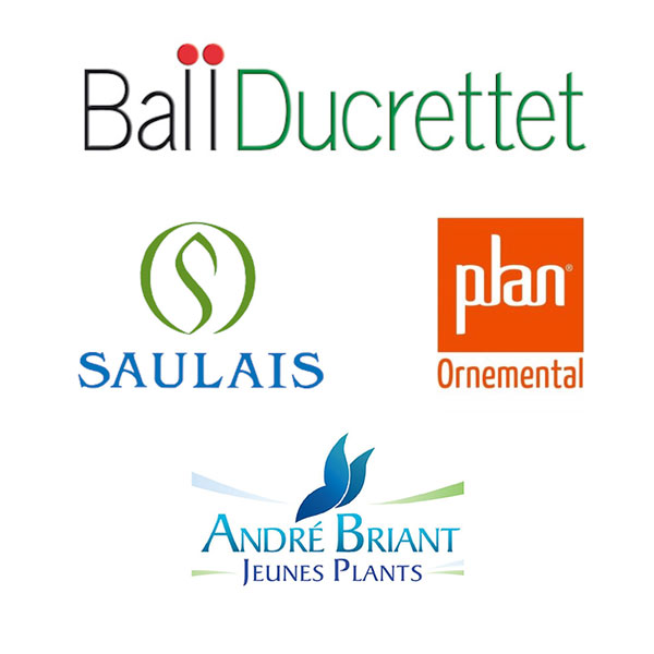 logos_Saulais_Briant_BallDucrettet